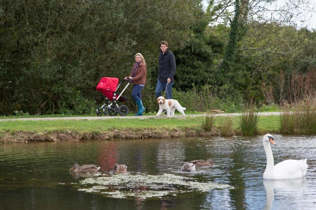 St Columb Major Skylark Sleeps 8 Private Hot Tub & Dogs Welcome Nr Padstow, Resort Pool Bar & Watersports מראה חיצוני תמונה